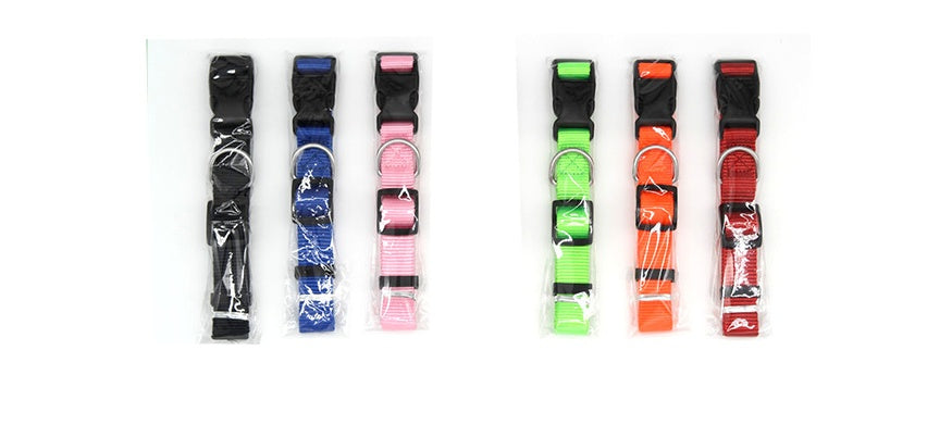 Soft Comfort: Neoprene-Lined Adventure Pet Collar