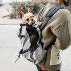 Pro-Travel Dog Backpack: Secure, Portable & Breathable