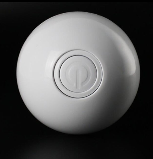 Interactive LED Chase Ball for Dogs & Cats – 360° Auto-Rolling Smart Pet Toy