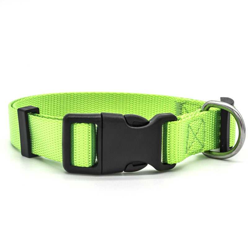 Soft Comfort: Neoprene-Lined Adventure Pet Collar