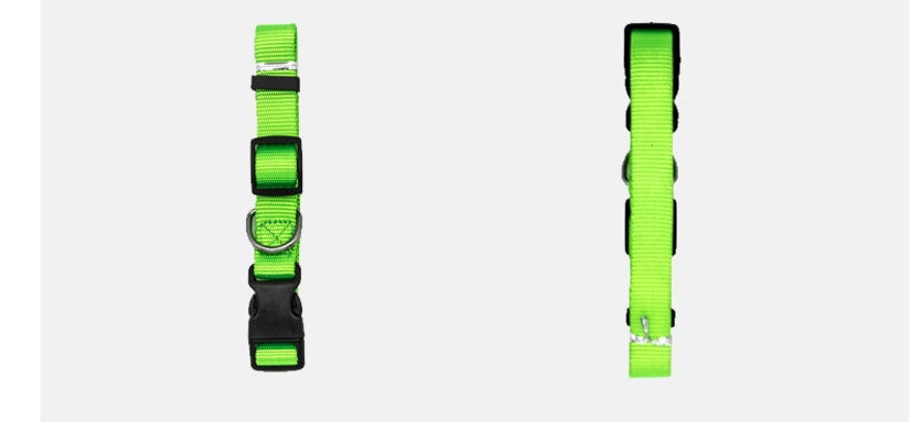 Soft Comfort: Neoprene-Lined Adventure Pet Collar