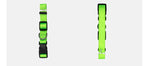 Soft Comfort: Neoprene-Lined Adventure Pet Collar