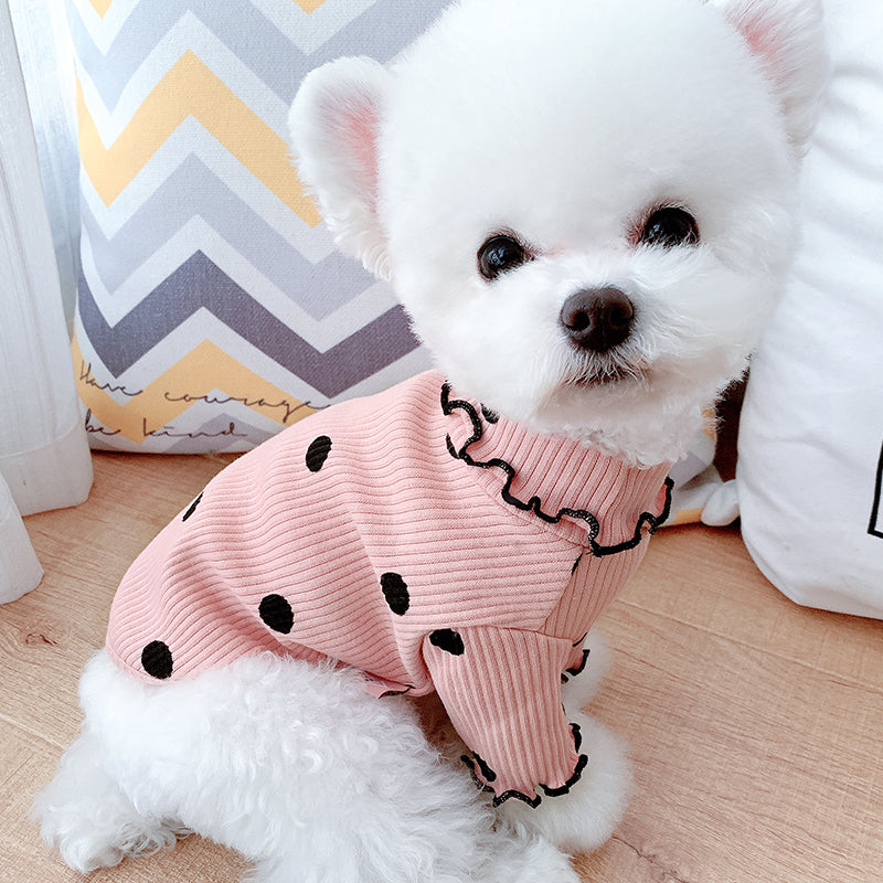 Turtleneck Dog Sweater – Warm Knit Winter Clothes for Small Dogs