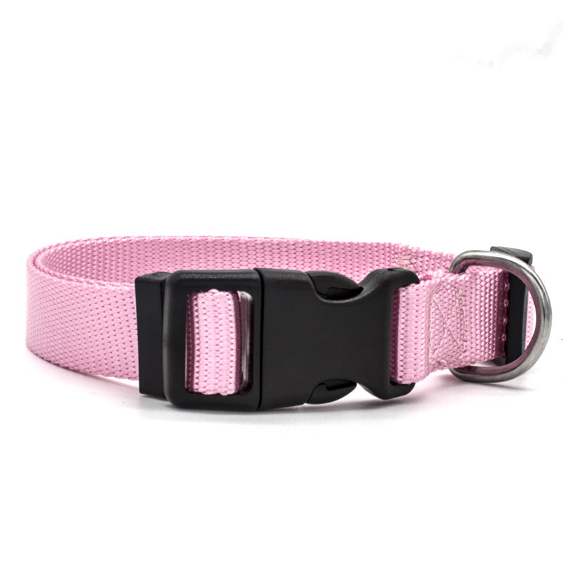 Soft Comfort: Neoprene-Lined Adventure Pet Collar