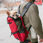 Pro-Travel Dog Backpack: Secure, Portable & Breathable