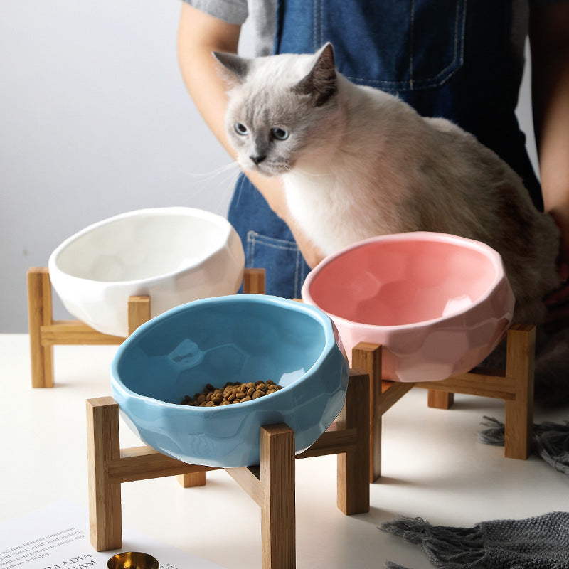 Tilted Pet Food Bowl – Ergonomic Angled Cat & Dog Feeding Bowl