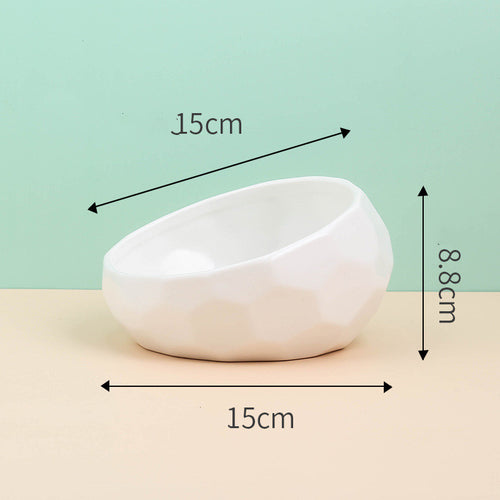 Ceramic Cat & Dog Bowl Oblique Mouth
