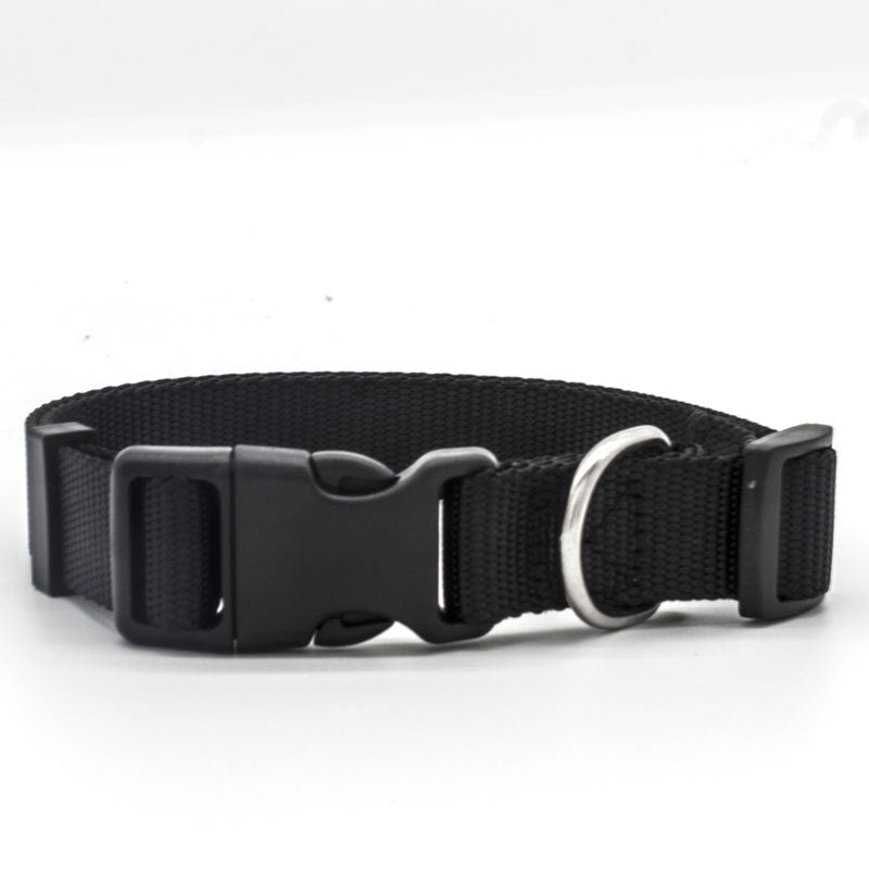 Soft Comfort: Neoprene-Lined Adventure Pet Collar