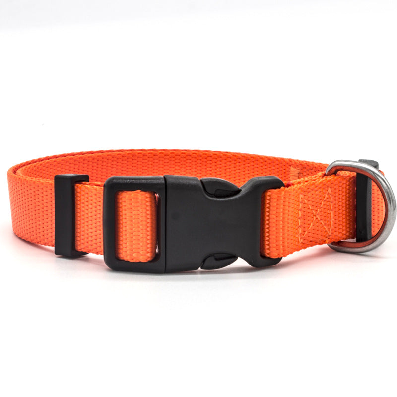Soft Comfort: Neoprene-Lined Adventure Pet Collar