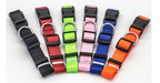 Soft Comfort: Neoprene-Lined Adventure Pet Collar