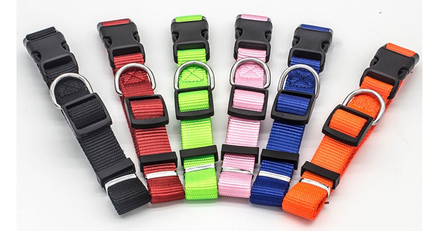 Soft Comfort: Neoprene-Lined Adventure Pet Collar
