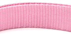 Soft Comfort: Neoprene-Lined Adventure Pet Collar