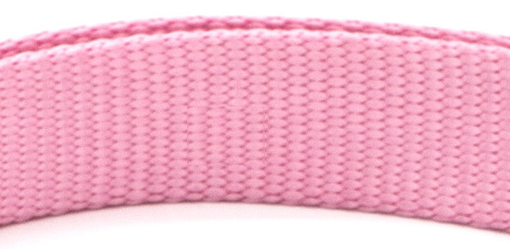 Soft Comfort: Neoprene-Lined Adventure Pet Collar