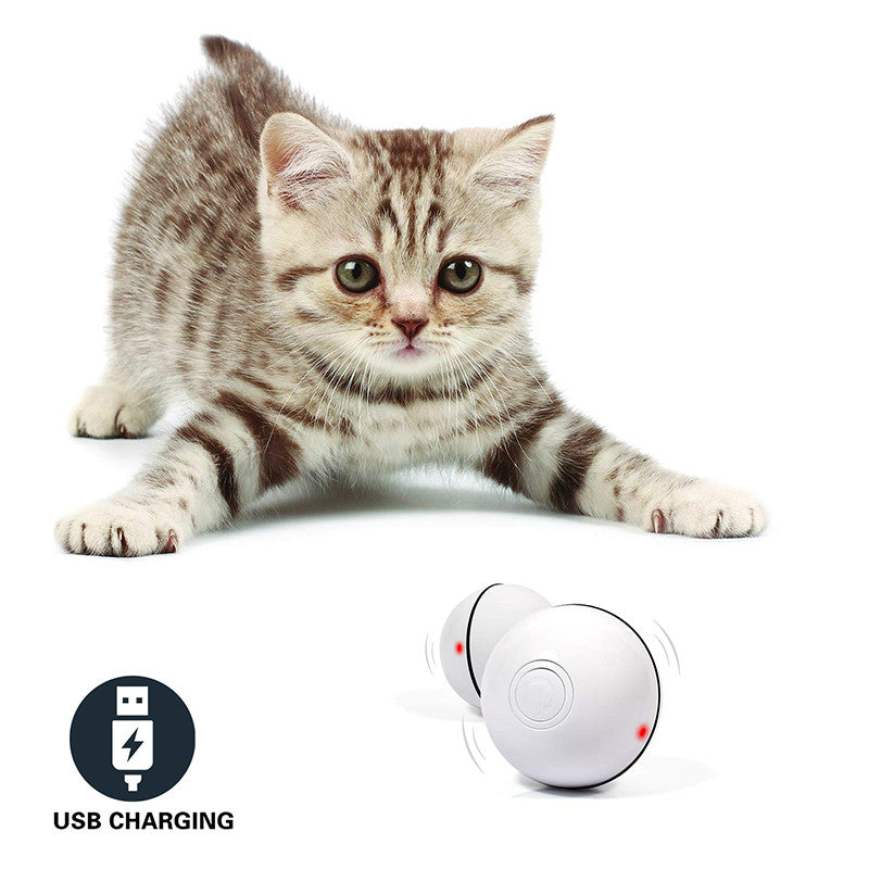 Interactive LED Chase Ball for Dogs & Cats – 360° Auto-Rolling Smart Pet Toy