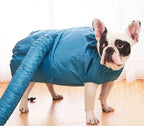 Automatic: Aero-Dry 360° Hands-Free Pet Drying Bag
