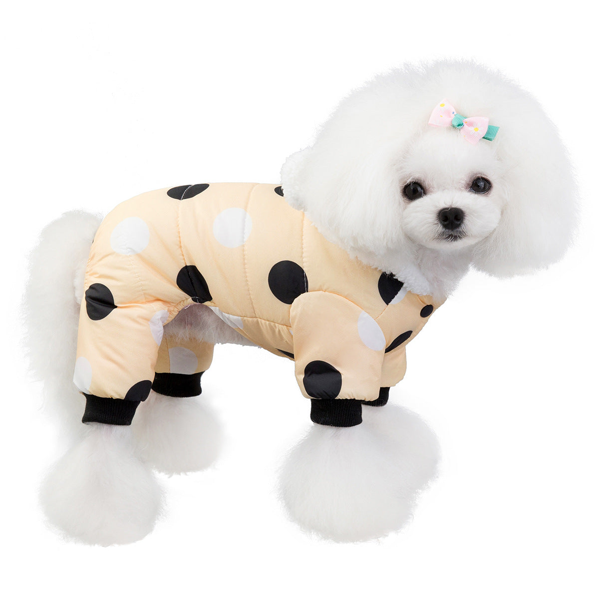 Polka Dot Dog Coat – Warm Cotton Winter Jacket for Small & Medium Dogs