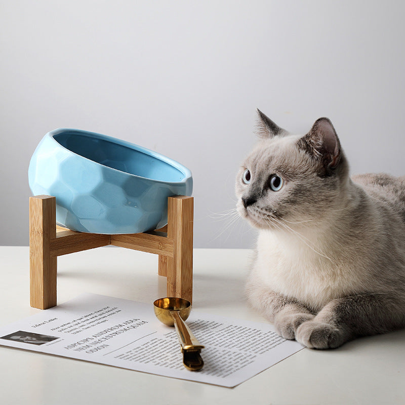Tilted Pet Food Bowl – Ergonomic Angled Cat & Dog Feeding Bowl