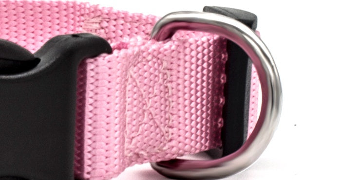 Soft Comfort: Neoprene-Lined Adventure Pet Collar