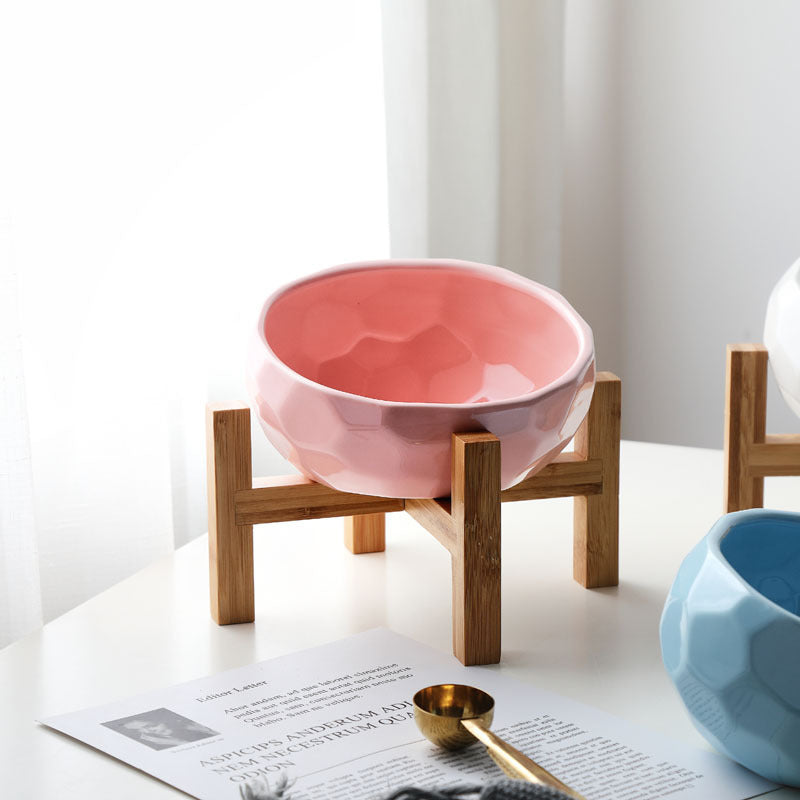Tilted Pet Food Bowl – Ergonomic Angled Cat & Dog Feeding Bowl