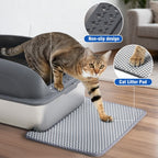 Large Cat Litter Box For Big Cats, Scoop And Mat Included