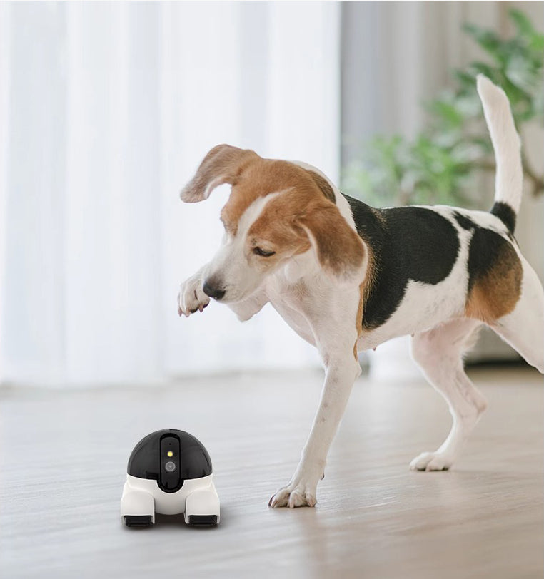 Smart Pet Camera WiFi – Night Vision, Two-Way Audio & Mobile App Control