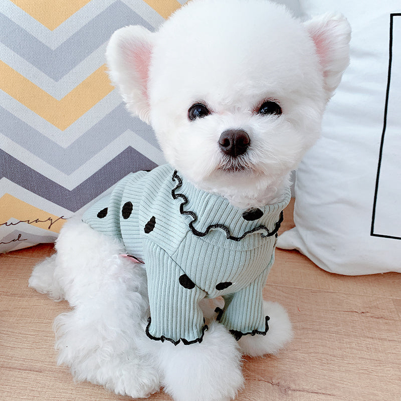 Turtleneck Dog Sweater – Warm Knit Winter Clothes for Small Dogs