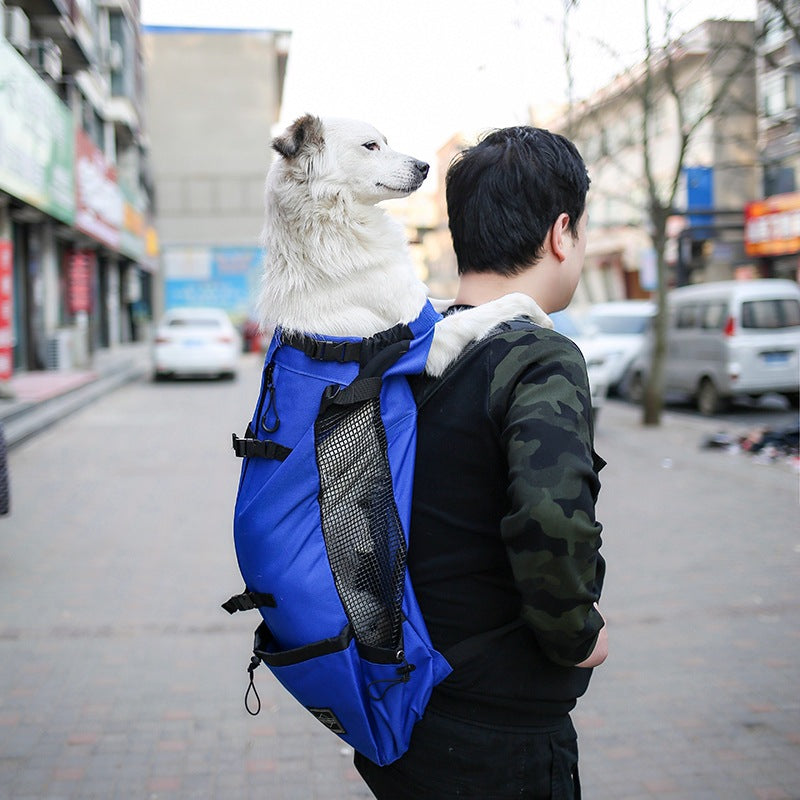 Pro-Travel Dog Backpack: Secure, Portable & Breathable