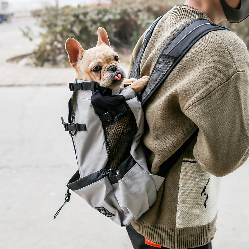 Pro-Travel Dog Backpack: Secure, Portable & Breathable