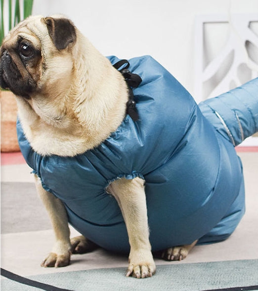 Automatic: Aero-Dry 360° Hands-Free Pet Drying Bag
