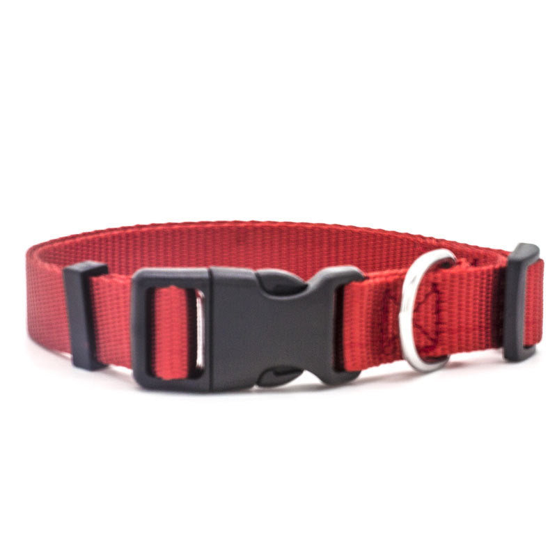 Soft Comfort: Neoprene-Lined Adventure Pet Collar