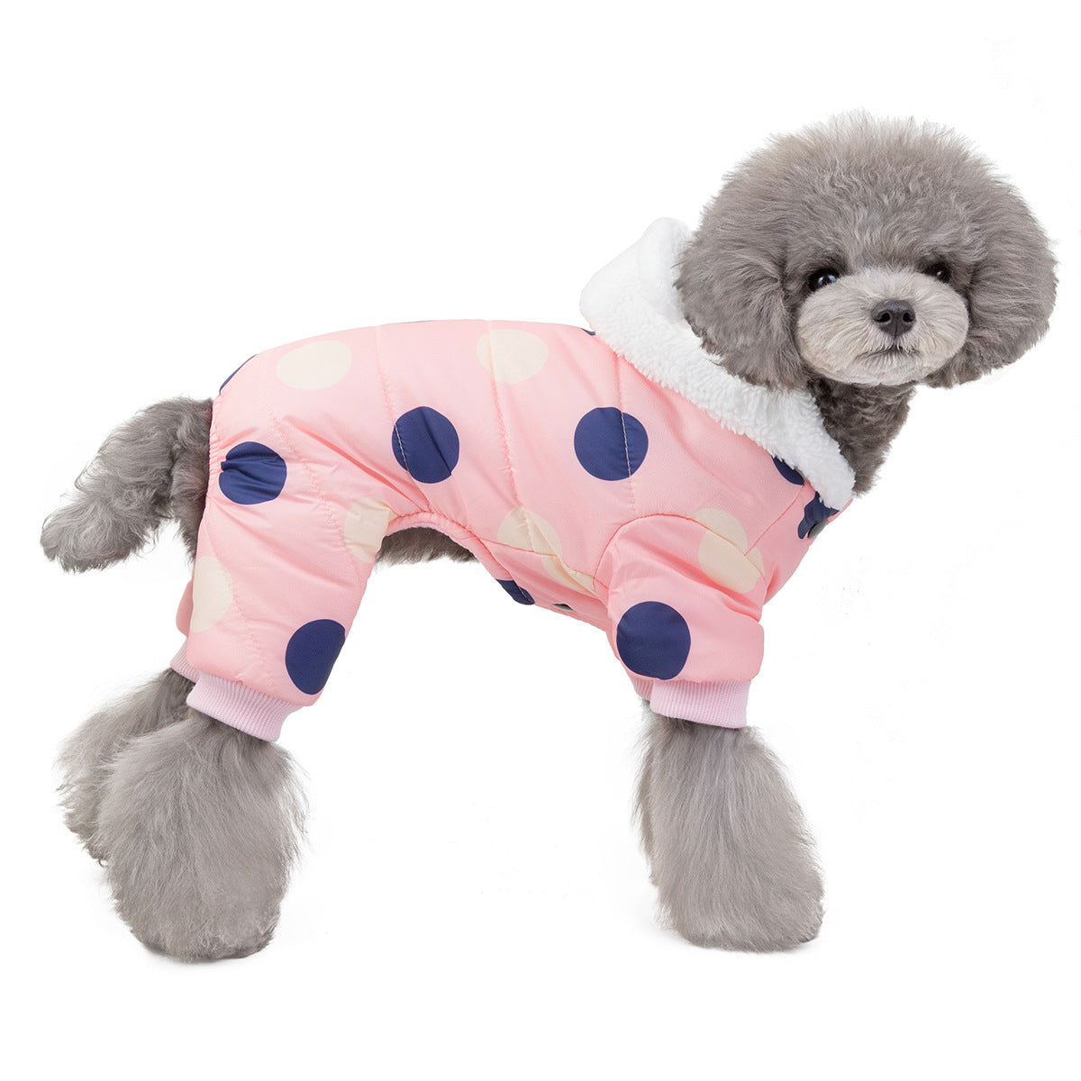 Polka Dot Dog Coat – Warm Cotton Winter Jacket for Small & Medium Dogs