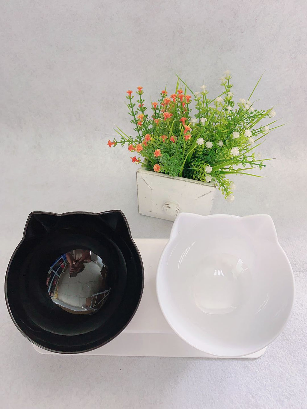 Slanted Double Cat Bowl - Improved Digestion & Neck Comfort