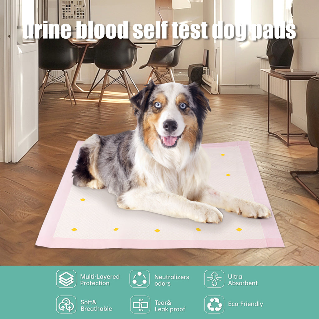 Dog Training Pee Pad – Absorbent Puppy Urine Mat for Indoor Potty Training