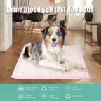 Dog Training Pee Pad – Absorbent Puppy Urine Mat for Indoor Potty Training